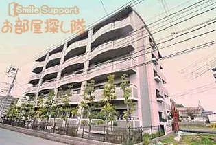 コンドミニアム都麗殷【4階】の外観