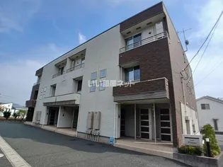 プリムールの画像