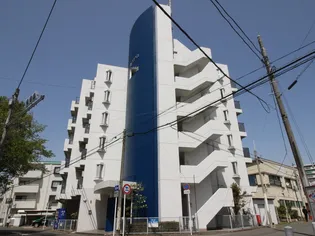 ステップスの画像