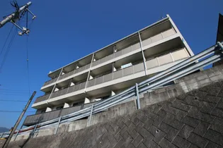 テラコッタの画像