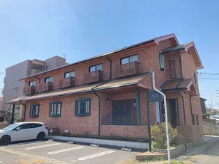 しゃらの木の画像