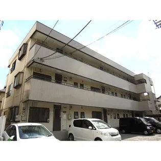 ビライズミの画像