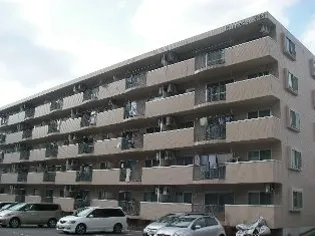 ラムセスA松波の画像