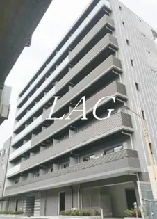 アルテシモグレイスの画像
