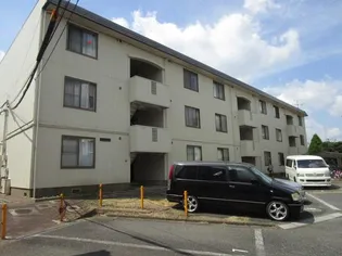 第6藤ハイランドの画像