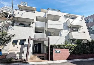 山興弥生町マンションの画像