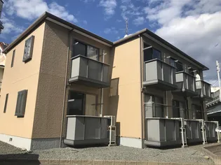 シェソワ ボランの画像