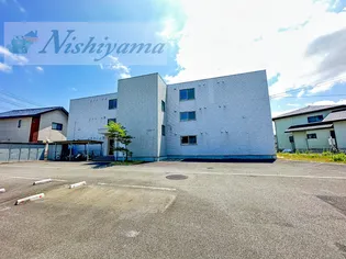 アリビオ22花沢の画像