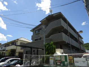 クラスト30の画像