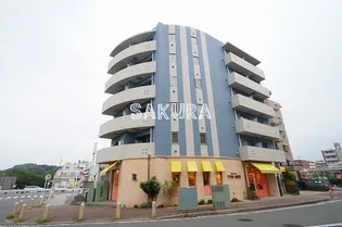 ベニシアの画像