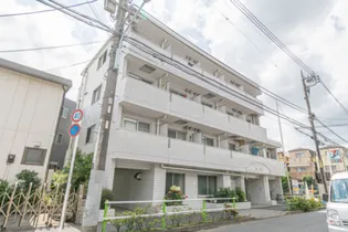 トップ志村の画像