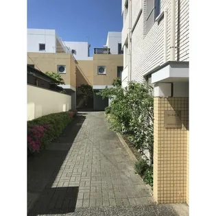 コートヒルの画像