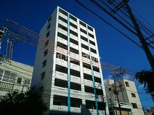 メゾン Shinka【9階】の外観