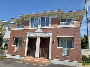 ボニートの画像