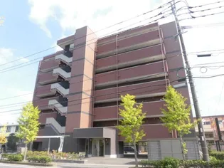 TNRの画像