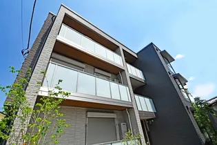 ラッシュドノエの画像