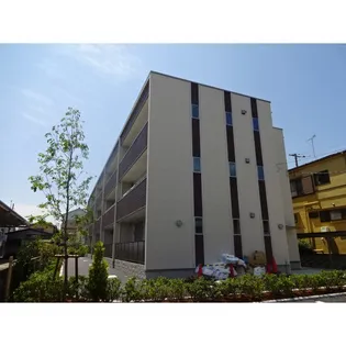 サン ファーストの画像