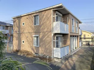 ハックベリーBの画像