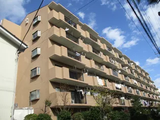 ゴールドファイブ幸の画像