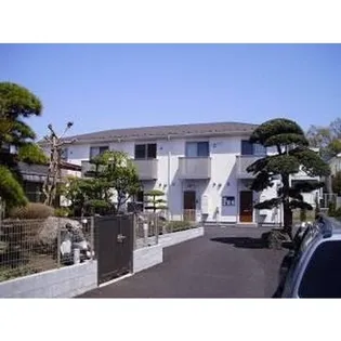 アムール 青葉の画像