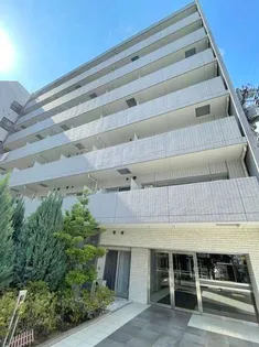 パティーナ菊川の画像