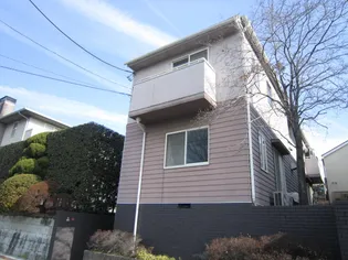 シュノンソーの画像