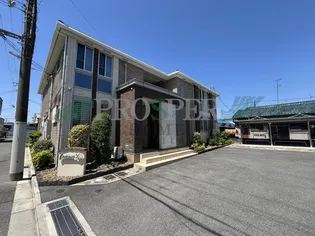 ポプルスYの画像