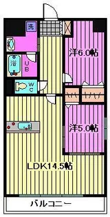 Freesia.Y【2階】の間取り