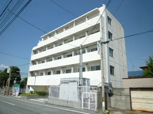 サカト1の画像
