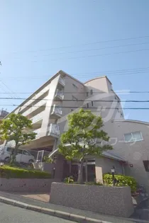 アムール千里の画像