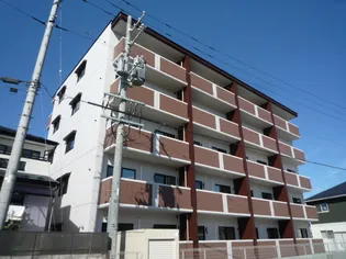 フェリシダ広瀬の画像