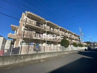 S SQUAREの画像