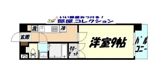 カーザミア【5階】の間取り