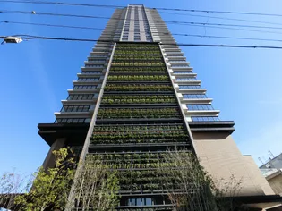 タワーの画像