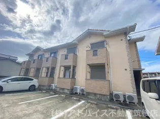 グレースBの画像