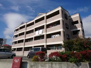 ロイヤル花水木【4階】の外観