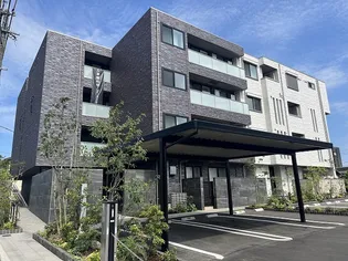 SHAMAISON RYUJUの画像