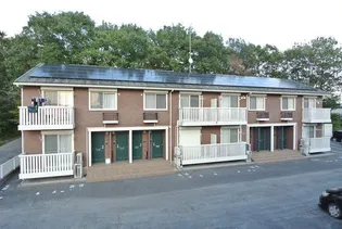 シルクコートの画像