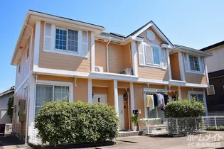 ピュア Bの画像