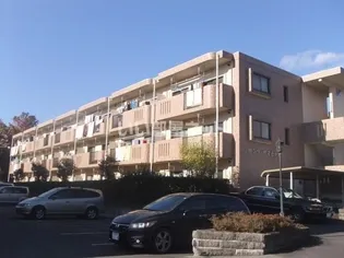 サンツヤマモトA【1階】の外観