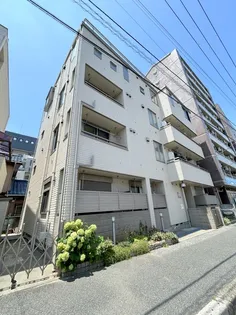 シエルジェメルの画像