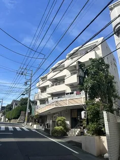 カーサピノの画像