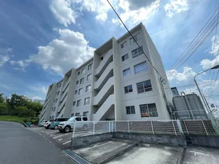 枚方ハイツ3号棟の画像