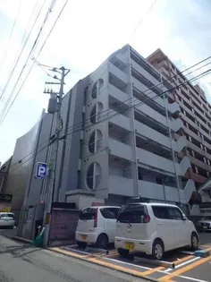 ドルフ TSの画像