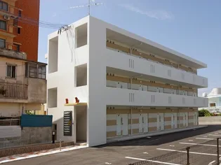 なでしこの画像