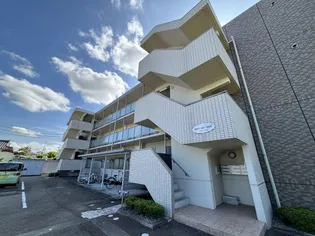 ハートフル ラシーヌの画像