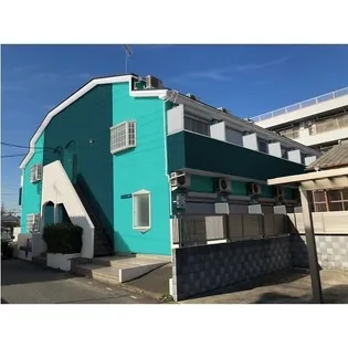 アザレアの画像