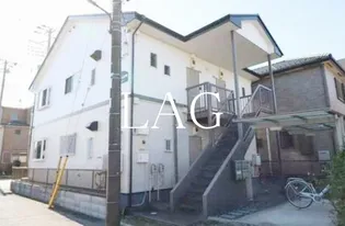 シャンポール金明の画像