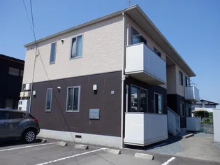 パピヨンの画像