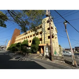 プランドゥ御花前の画像